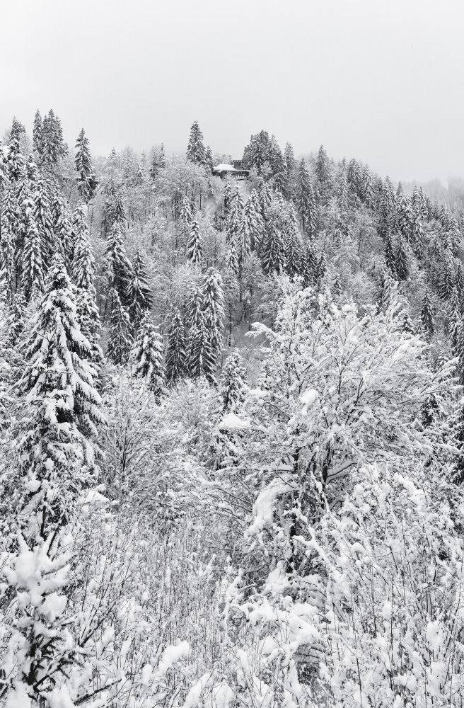 P0000072 Panorama_MASTER_2019-BW.jpg